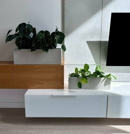 Pflanzkübel niedrig, länglich mit rechteckigem Boden betonfarben MyTraumgarten