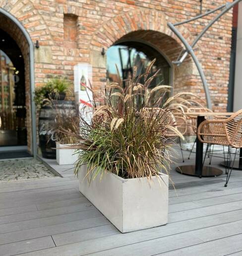 Pflanzkübel niedrig, länglich mit rechteckigem Boden betonfarben MyTraumgarten