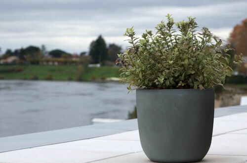 Pflanzkübel runder Boden dunkelgrau MyTraumgarten