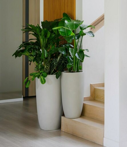 Moderner Planztopf mit schlanker, hoher Form MyTraumgarten