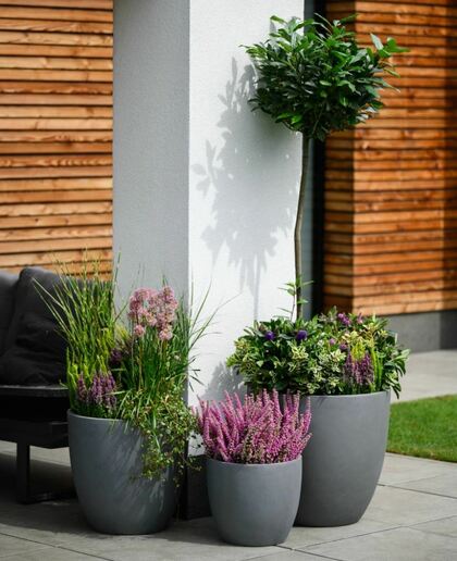 Pflanzkübel runder Boden dunkelgrau MyTraumgarten