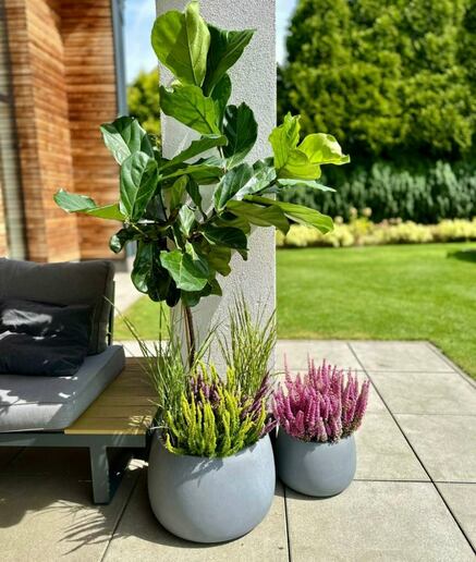 Pflanzkübel Schalenform dunkelgrau MyTraumgarten