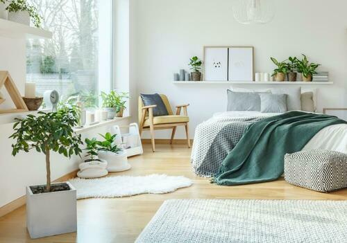 Pflanzenkübel würfelform betonfarben