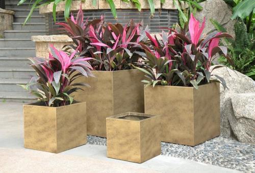 Pflanzkübel würfelförmig gold MyTraumgarten