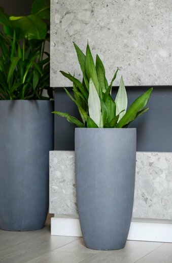 Moderner Planztopf mit schlanker, hoher Form dunkelgrau MyTraumgarten