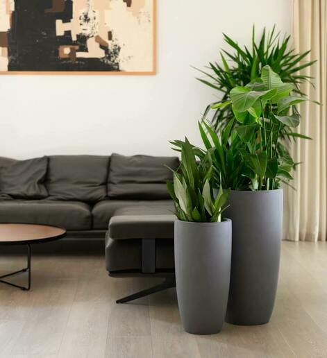 Moderner Planztopf mit schlanker, hoher Form dunkelgrau MyTraumgarten