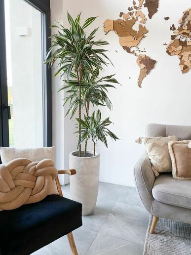 Moderner Planztopf mit schlanker, hoher Form MyTraumgarten