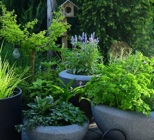 Pflanzkübel mit rundem Boden anthrazit MyTraumgarten