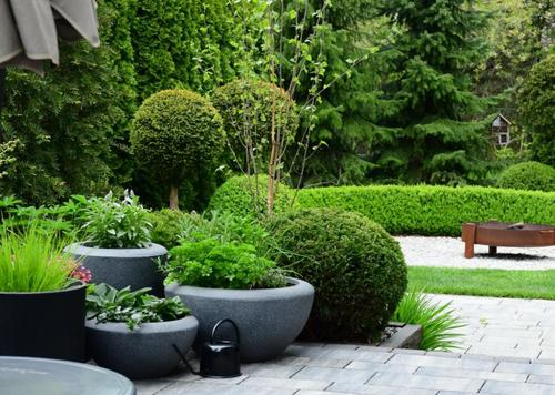 Pflanzenschale anthrazit MyTraumgarten