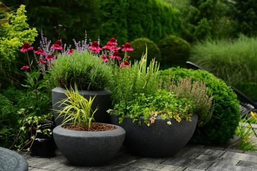 Pflanzenschale anthrazit MyTraumgarten