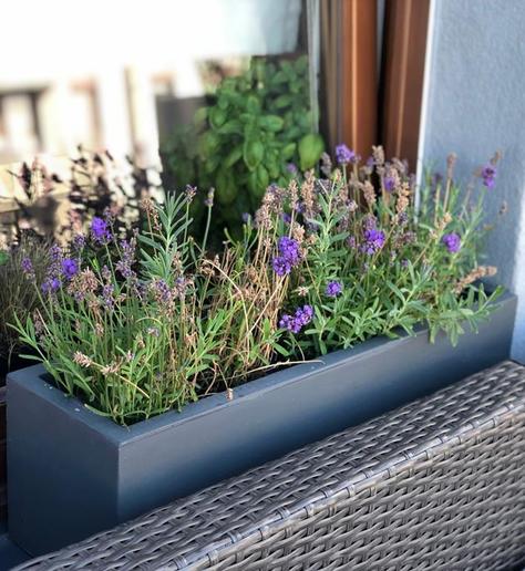 Pflanzkübel niedrig, länglich mit rechteckigem Boden anthrazit MyTraumgarten