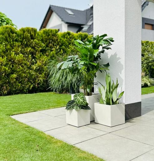 Pflanzenkübel würfelform betonfarben